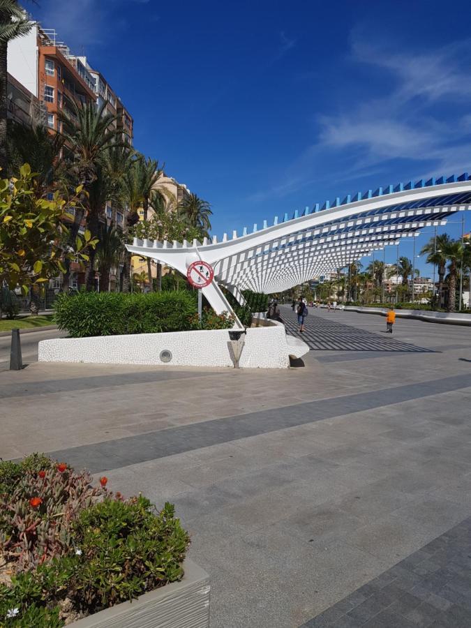 Apartamento Berry Playa Naufragos 托雷维耶哈 外观 照片